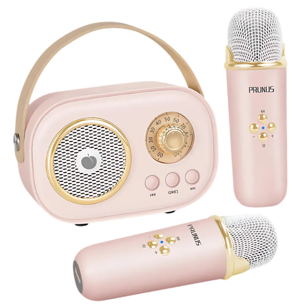 Bluetooth Dual Mic Kids Mini Karaoke