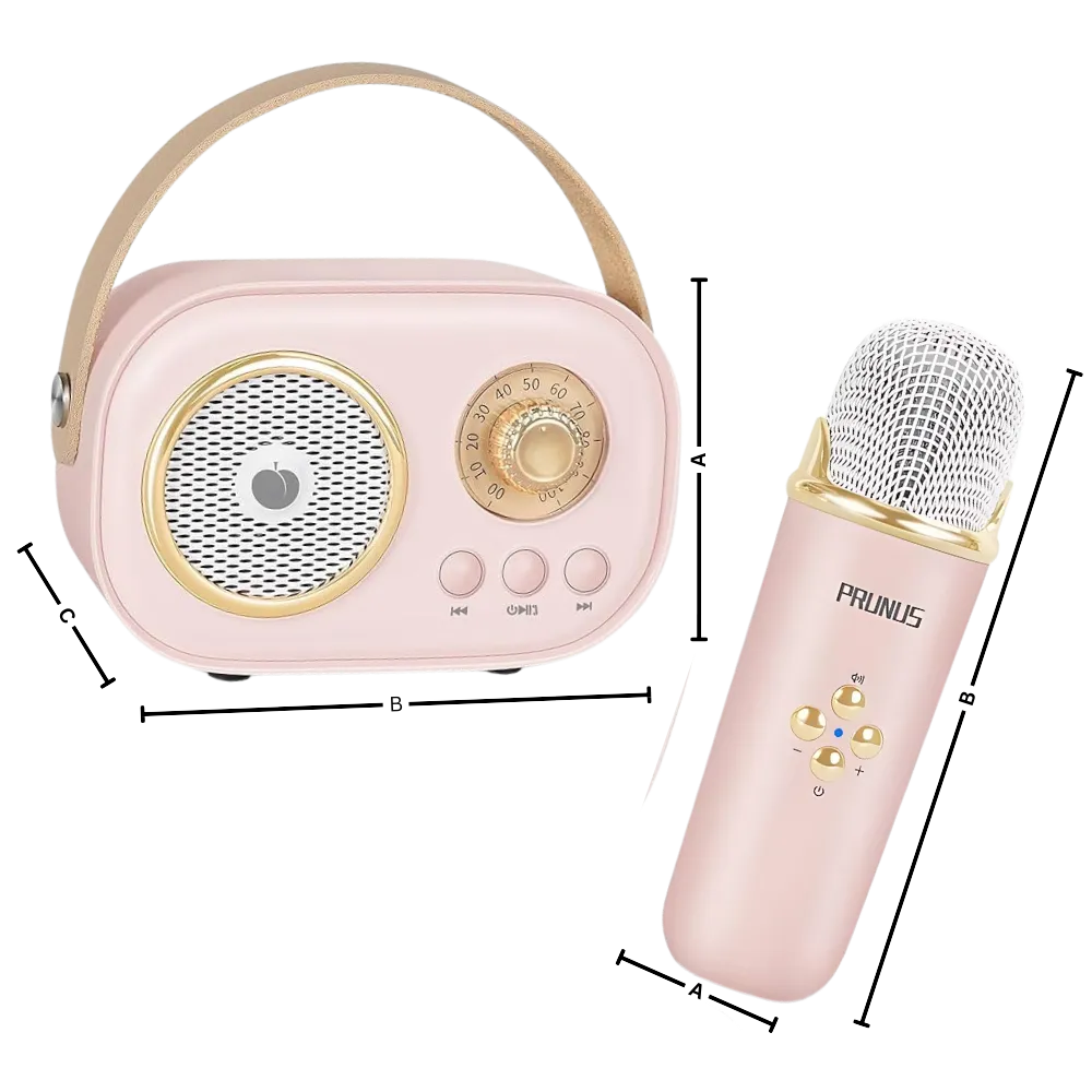 Bluetooth Dual Mic Kids Mini Karaoke