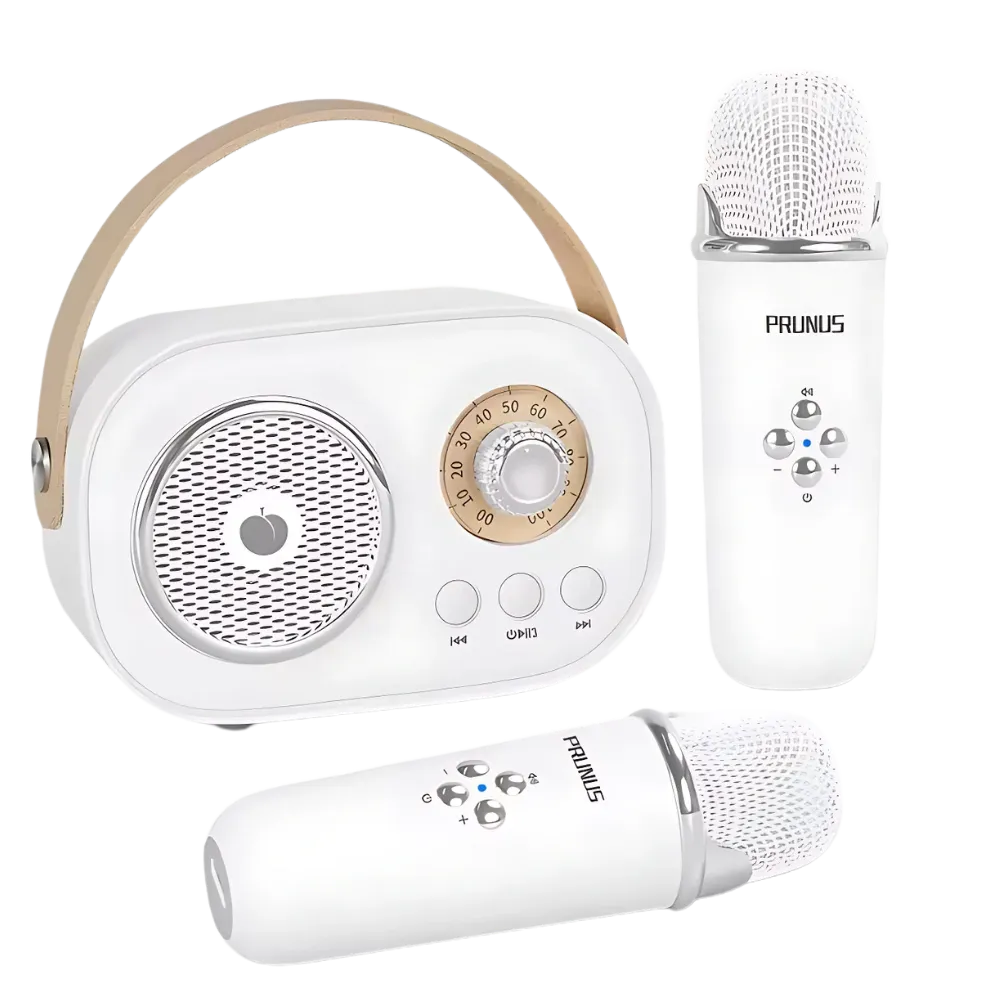 Bluetooth Dual Mic Kids Mini Karaoke