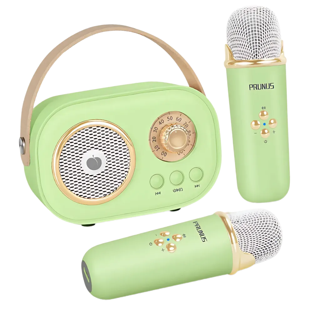 Bluetooth Dual Mic Kids Mini Karaoke