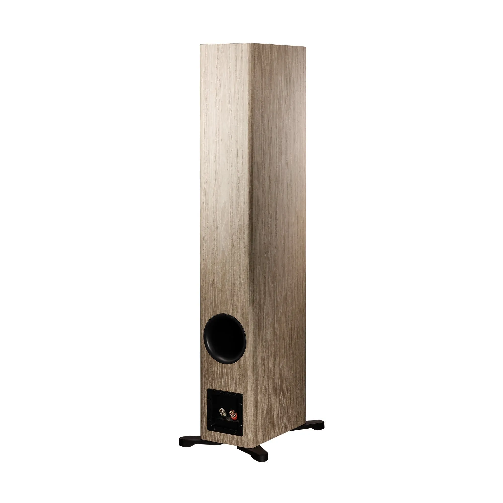 Dynaudio Evoke 50 Floorstanding Speakers