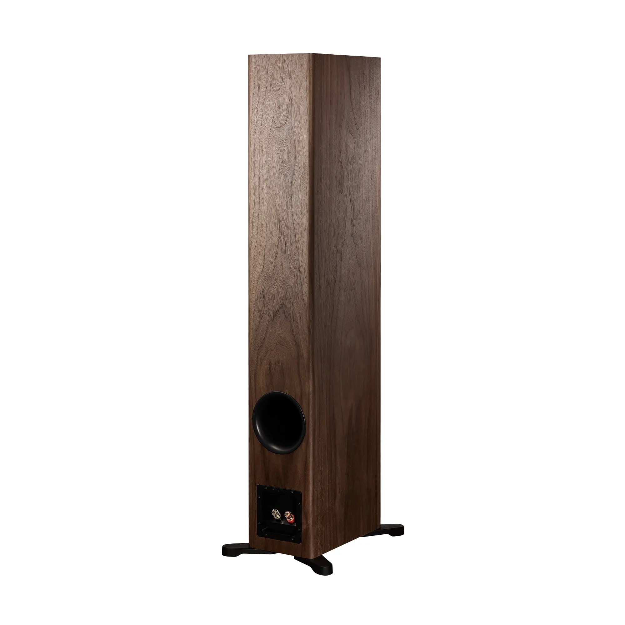 Dynaudio Evoke 50 Floorstanding Speakers