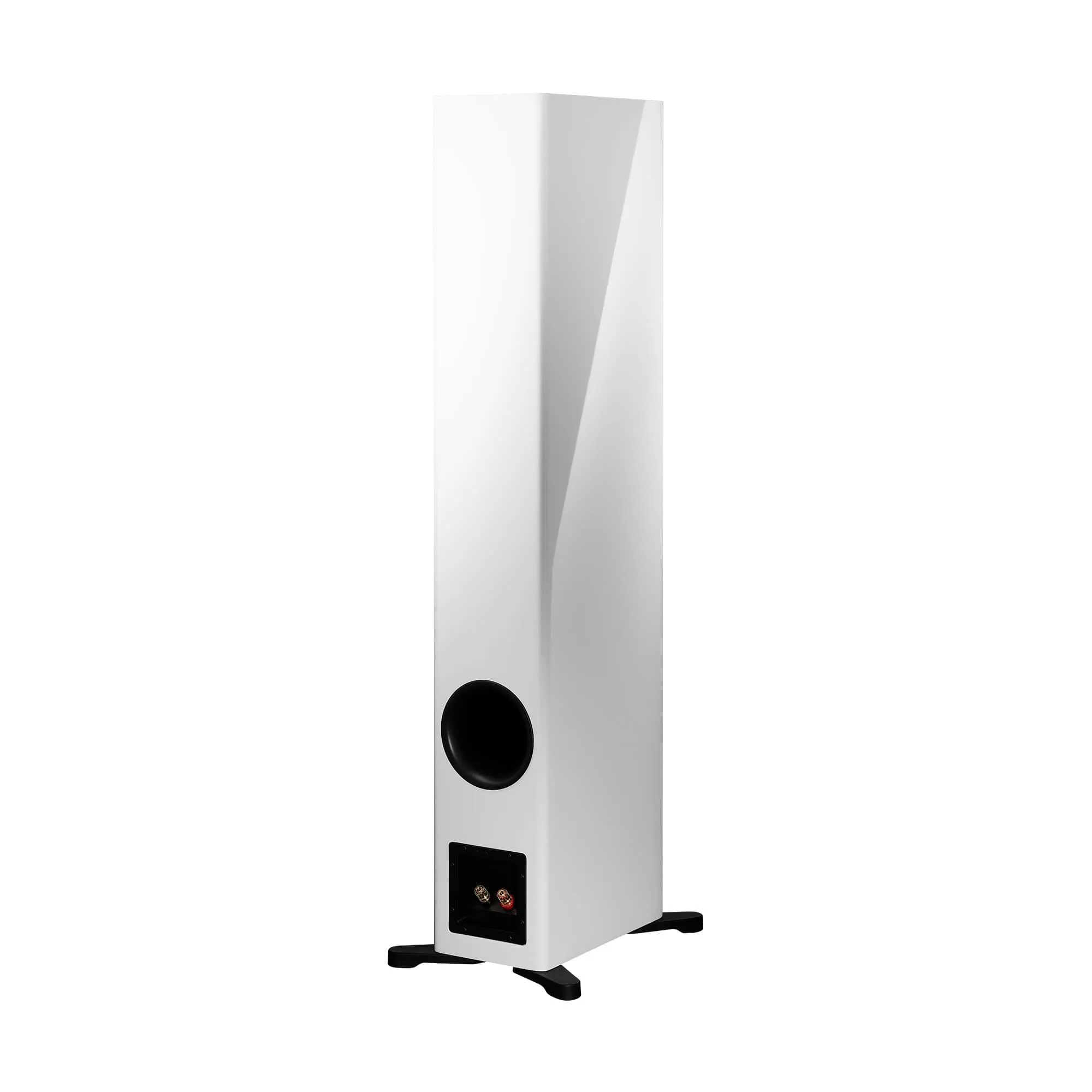 Dynaudio Evoke 50 Floorstanding Speakers