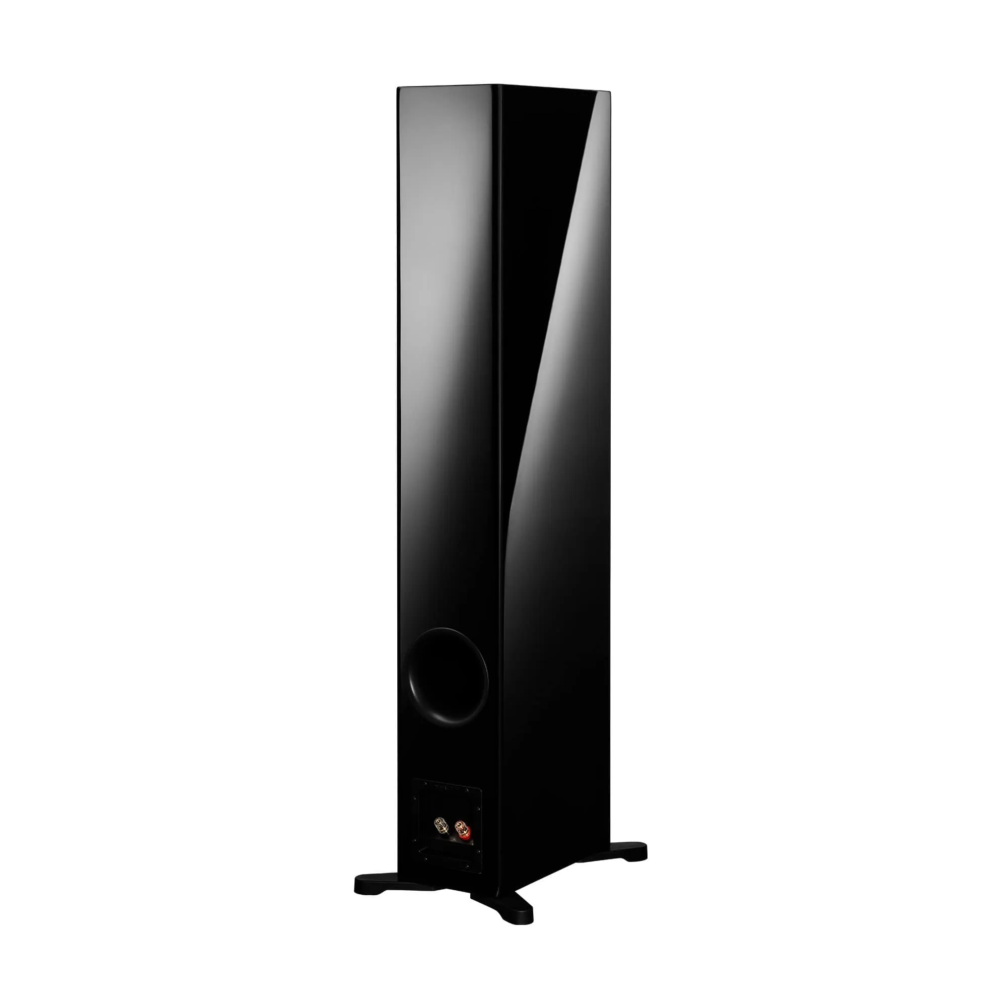 Dynaudio Evoke 50 Floorstanding Speakers