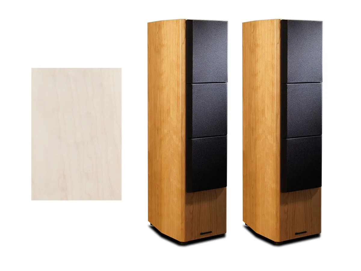 Middle T Loudspeaker (Per Speaker)