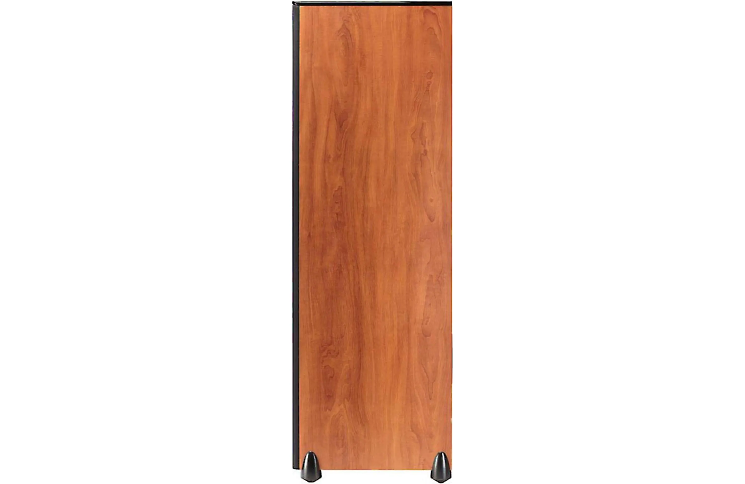 Polk Audio TSI500 High Performance Floorstanding Speaker (Each)