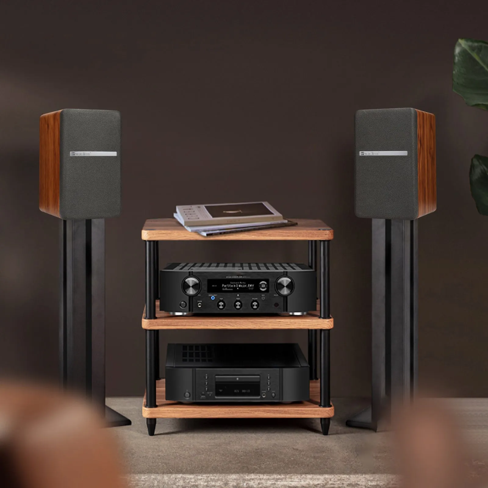 SINGING WOOD T25 Passive 2 Way Bookshelf Speakers - Beech Wood