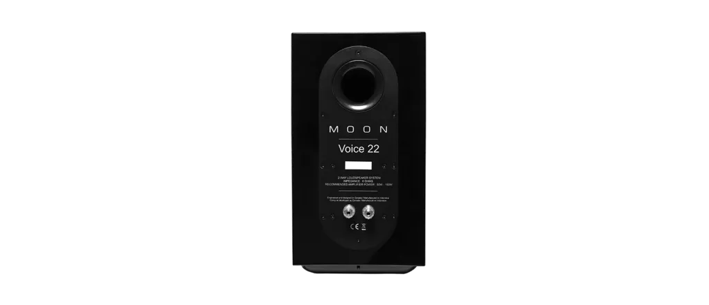 Voice 22